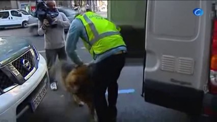 Cien detenidos en un gran golpe contra el fraude en el gasóleo agrícola