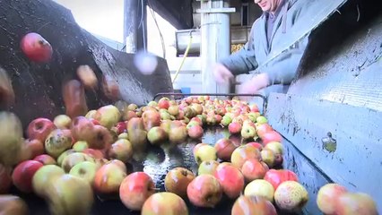 Série «et Hop dans mes bottes » - Le pays d'Auge