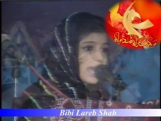 Roshni Grammar School 9g