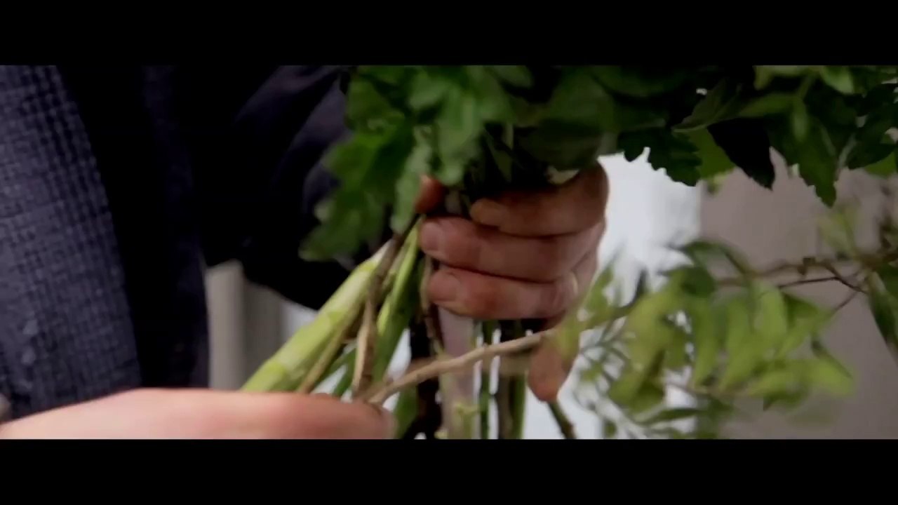 Gouache Avocats vous adresse ses meilleurs voeux pour l'année 2014 !