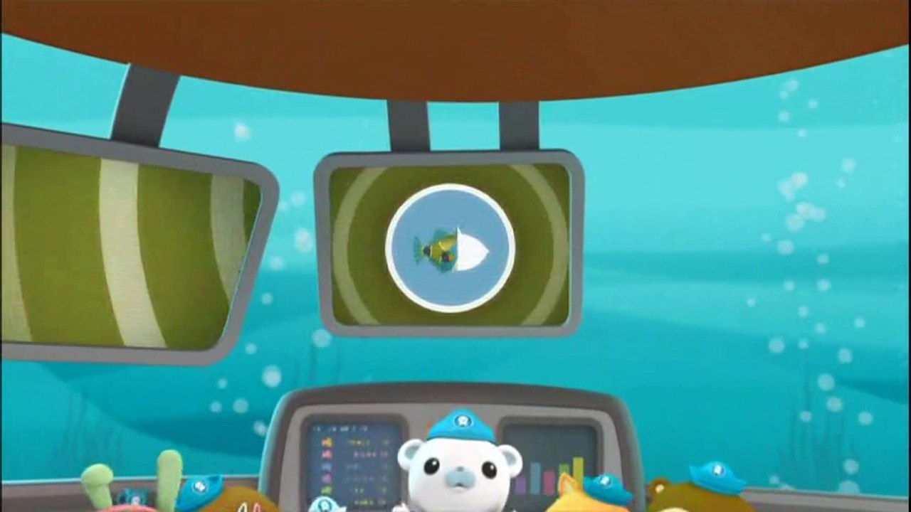 Octonauts Creature Report Ep 49 The Humuhumunukunukuapua'a
