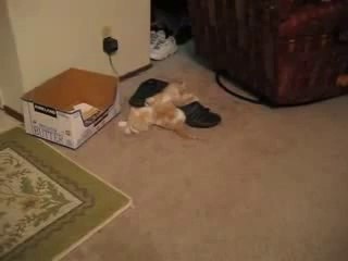 ♪바카라따는법〓▲★▷ ＹＡＭ ７７７.℃OM ◀★º바카라따는법바카라따는법바카라따는법바카라따는법바카라따는법바카라따는법바카라따는법바카라따는법