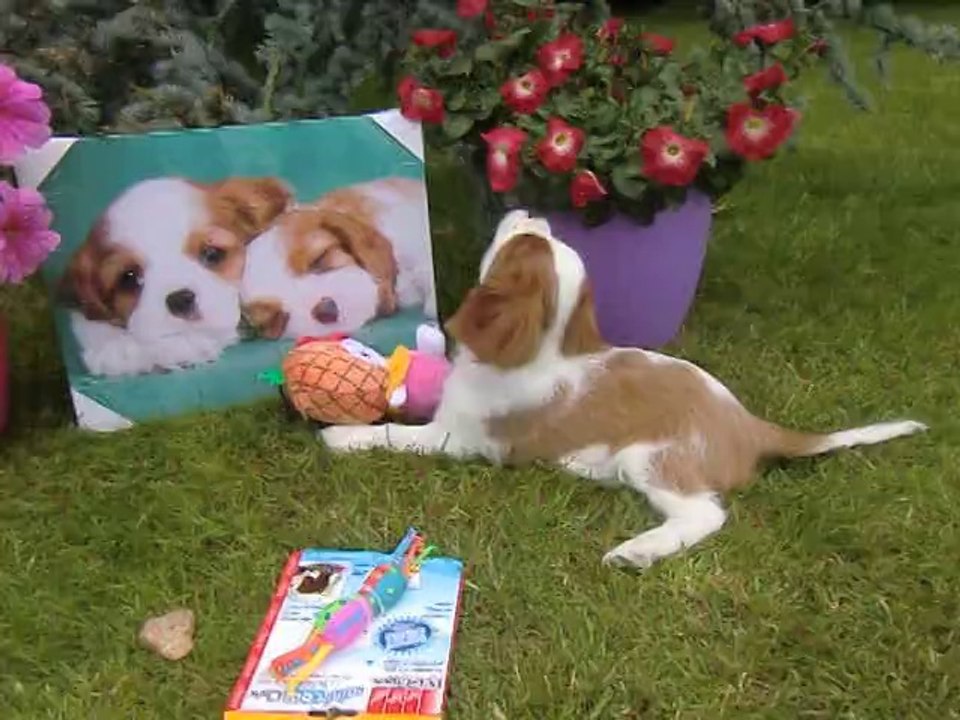 Juliane joue dans le jardin