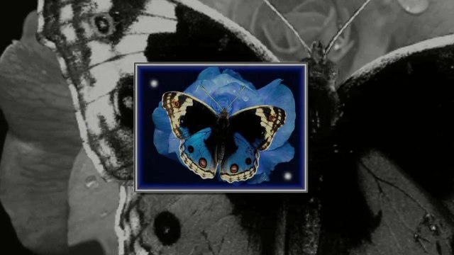 Росица Кирилова - Сърцето Знае Защо