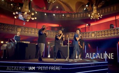 Alcaline, le Mag : best-of de nos concerts