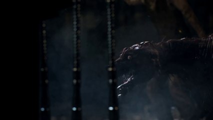 Bloodborne - Trailer E3 2014