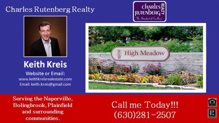 Naperville High Meadow subdivision Realtor