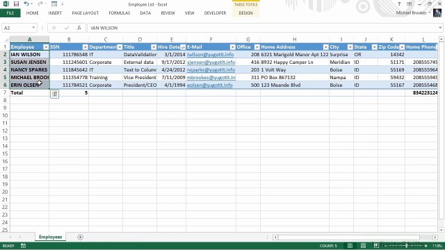 Microsoft Excel Managing Customers Vendors And Employees - Part 1