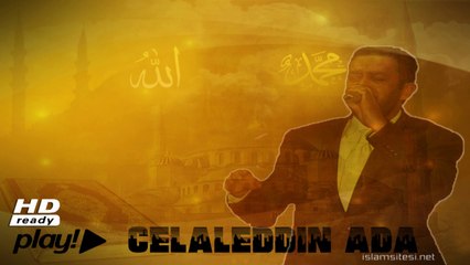 Zikir Halinde - Celaleddin Ada