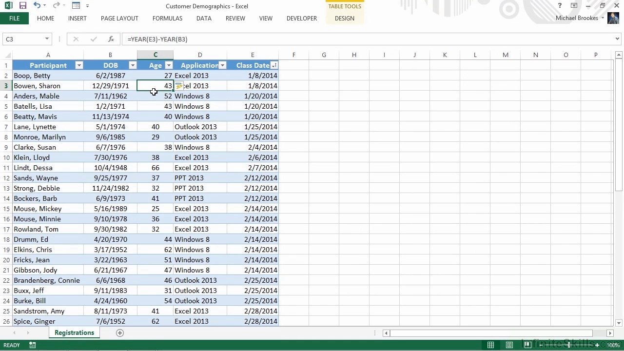 Microsoft Excel Analyzing Demographics