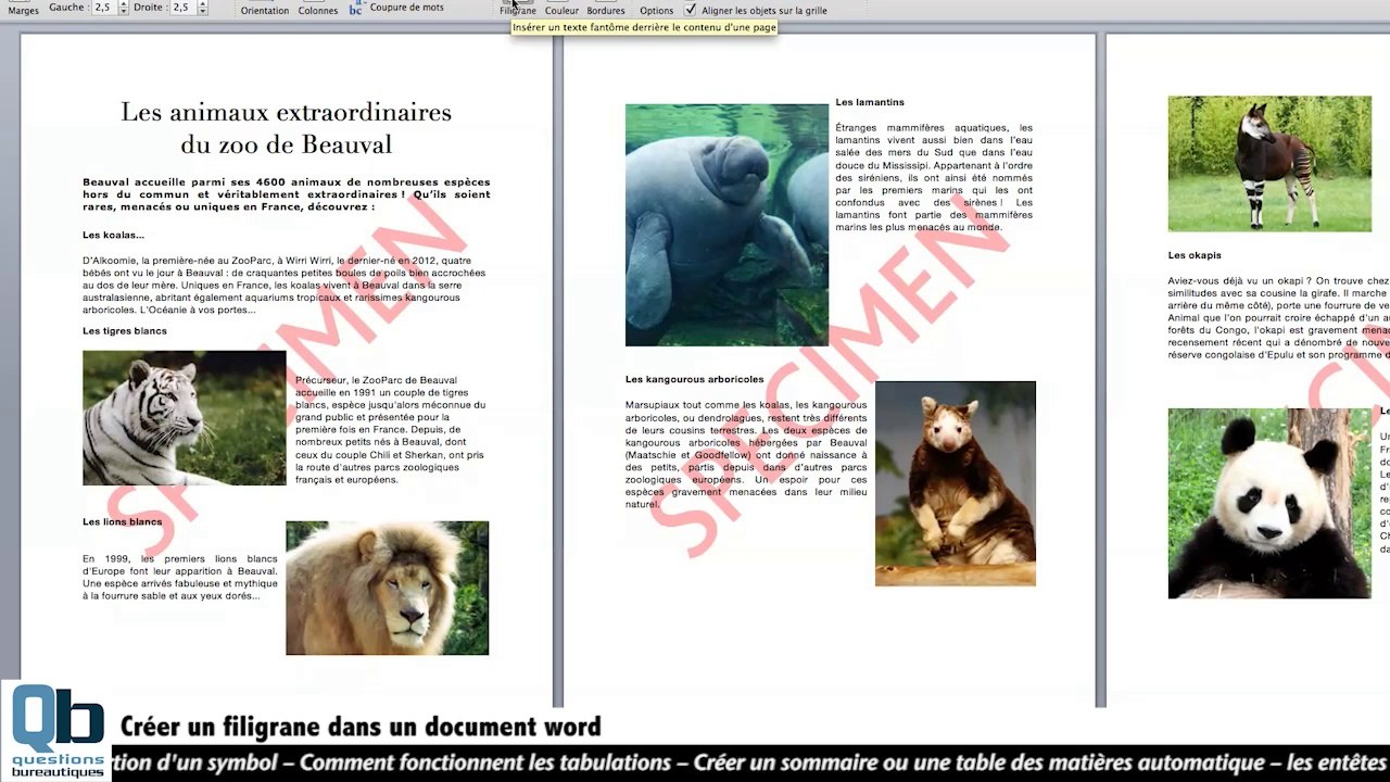 Créer un filigrane texte ou image dans word