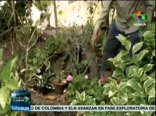 Subsisten egipcios en situación precaria pero con esperanza