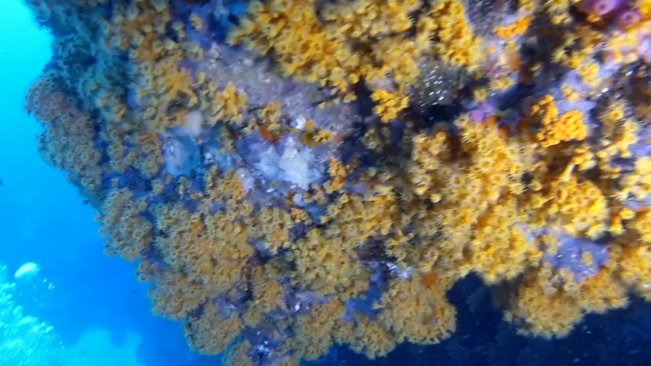 Marseille NAUTILUX-CPAE Mai 2014
