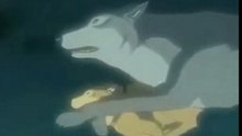 Wolfs Rain, zachem ya?