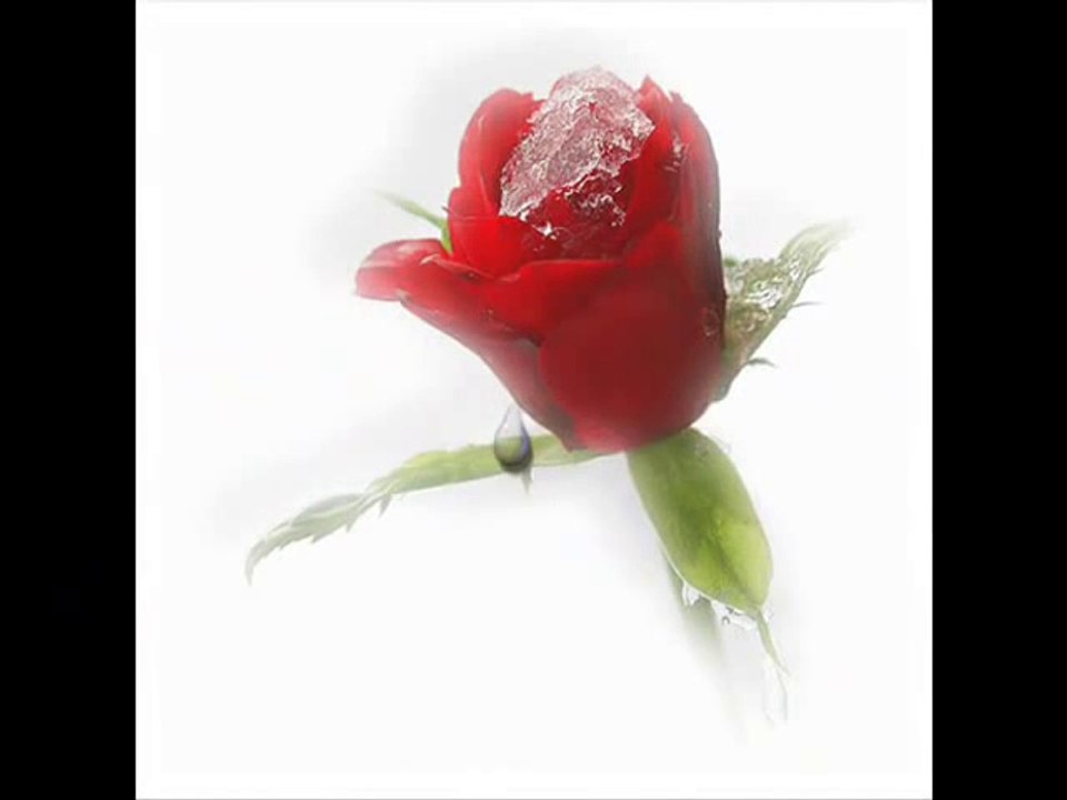 [{{ Bülent YASiN-YALAN OLSA DA }}]