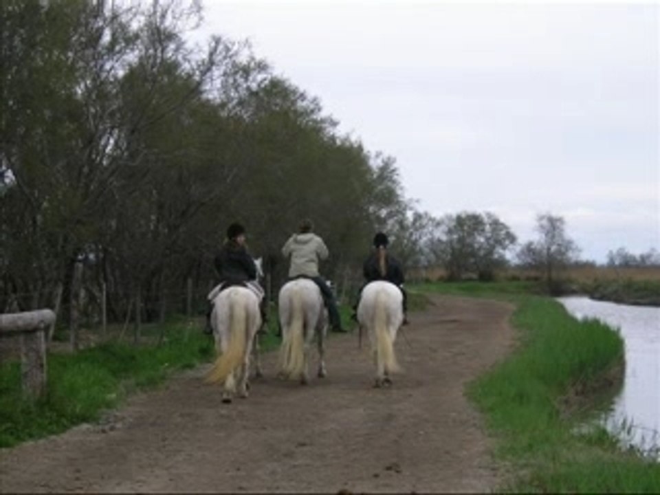 La Camargue