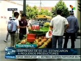 TLC entre Guatemala y EEUU solo ha perjudicado a pequeños productores
