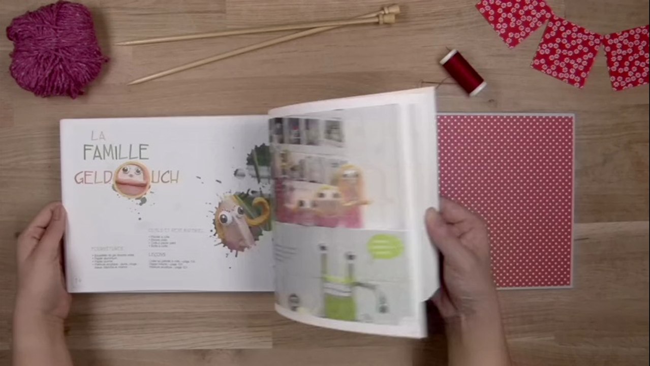 Livre : Mes petites bricoles