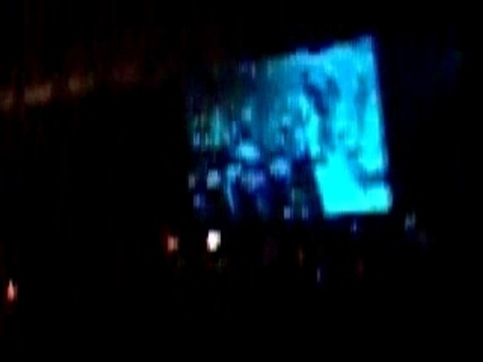 concert lyon system of a down