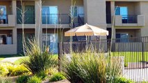 The Place at Edgewood Apartments in Tucson, AZ - ForRent.com
