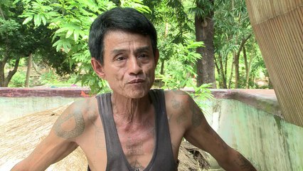 De la vipère au cobra, les tueurs silencieux de Birmanie