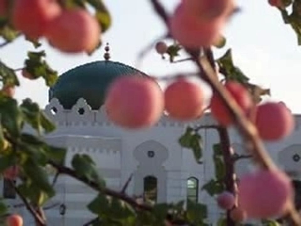 Zain Bhikha - The heart of a muslim