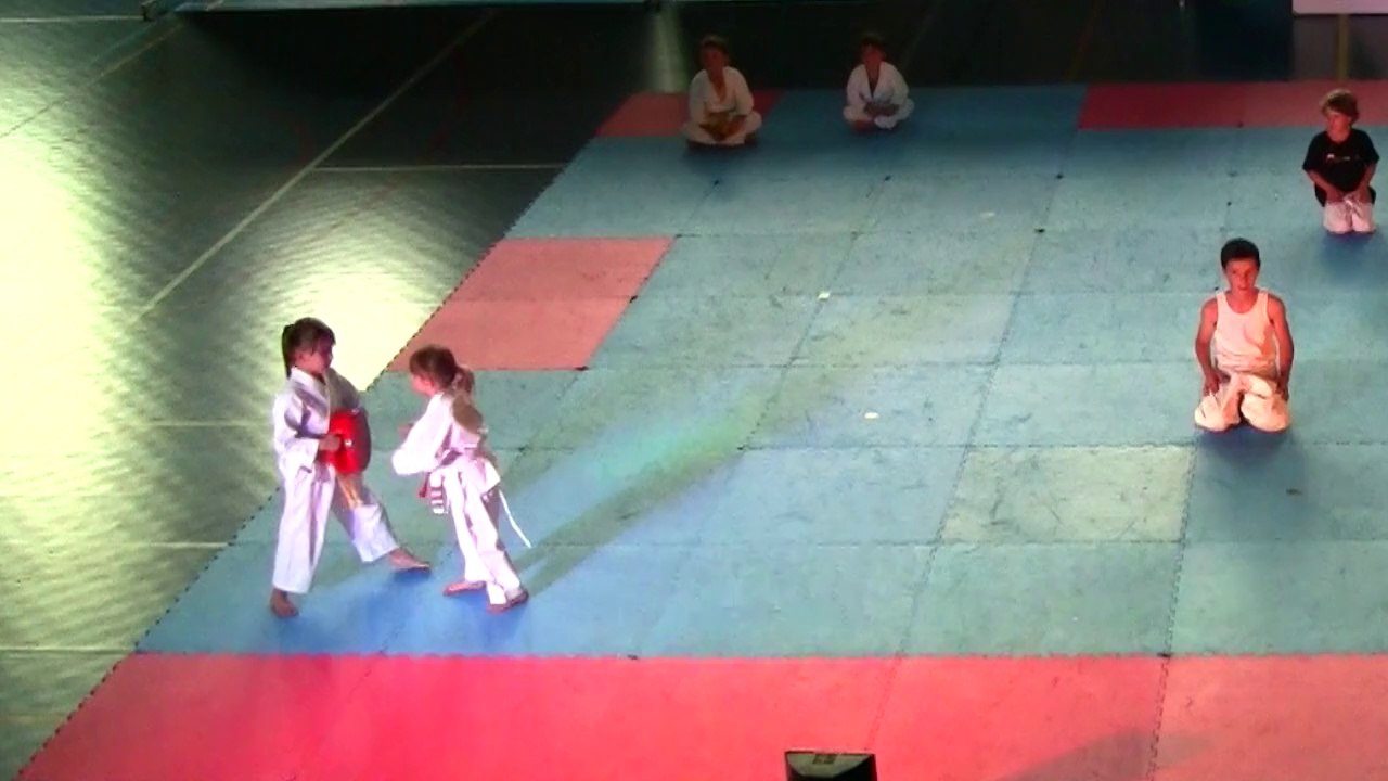 Gala Karate Thriller Show by as Cannes Karaté, Brothers and sisters