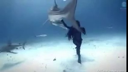 Human Mermaid Who Dances With Sharks