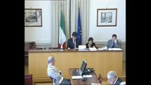 Roma - Valorizzazione prodotti agricoli, audizione esperti (11.06.14)