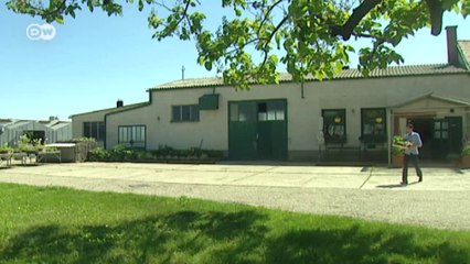 Fried Calf's Liver and Root Vegetables | Euromaxx