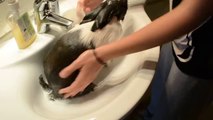 Banyo yaparken bu kadar keyif duyan bir tavşan gördünüz mü?