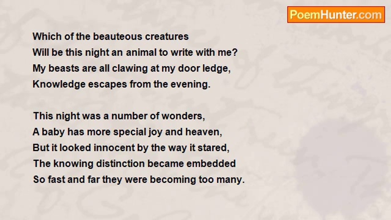 Naveed Akram - Beauteous Knowledge
