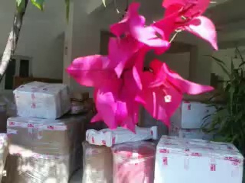 Video0000