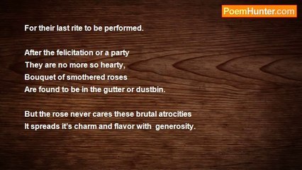 Amitava Sur - A Rose’s Generosity