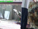 Straight Snipping by Machine to make silk carpet
