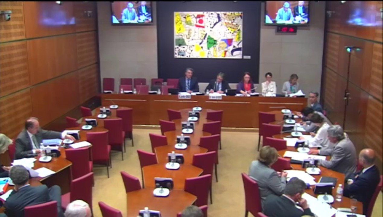 Intervention d'Hervé Féron en Commission des Affaires Culturelles et de l'Education : audition de Jean-Marc Bordes sur le rapport relatif à l'exposition de la musique dans les médias