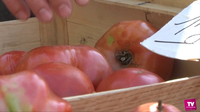 La Fraich' attitude s'invite, le dimanche 15 juin, sur la place Carnot à Carcassonne :