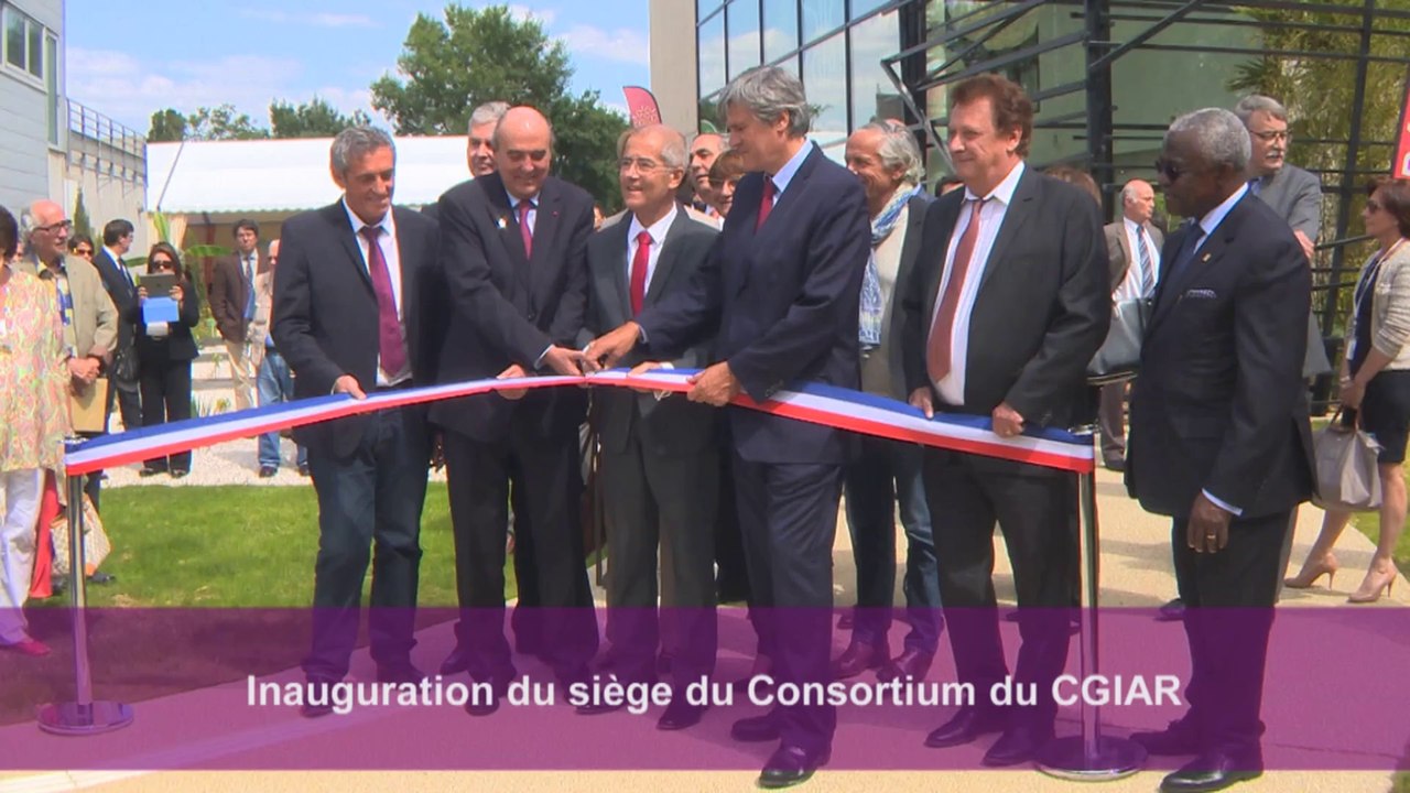 Rencontres internationales "agriculture familiale et recherche" - Montpellier