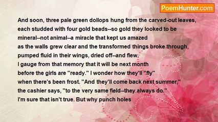 Joan Murray - Chrysalis