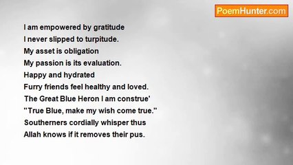 Syed Anwar Yarkhan Jilani - The Great Blue Heron