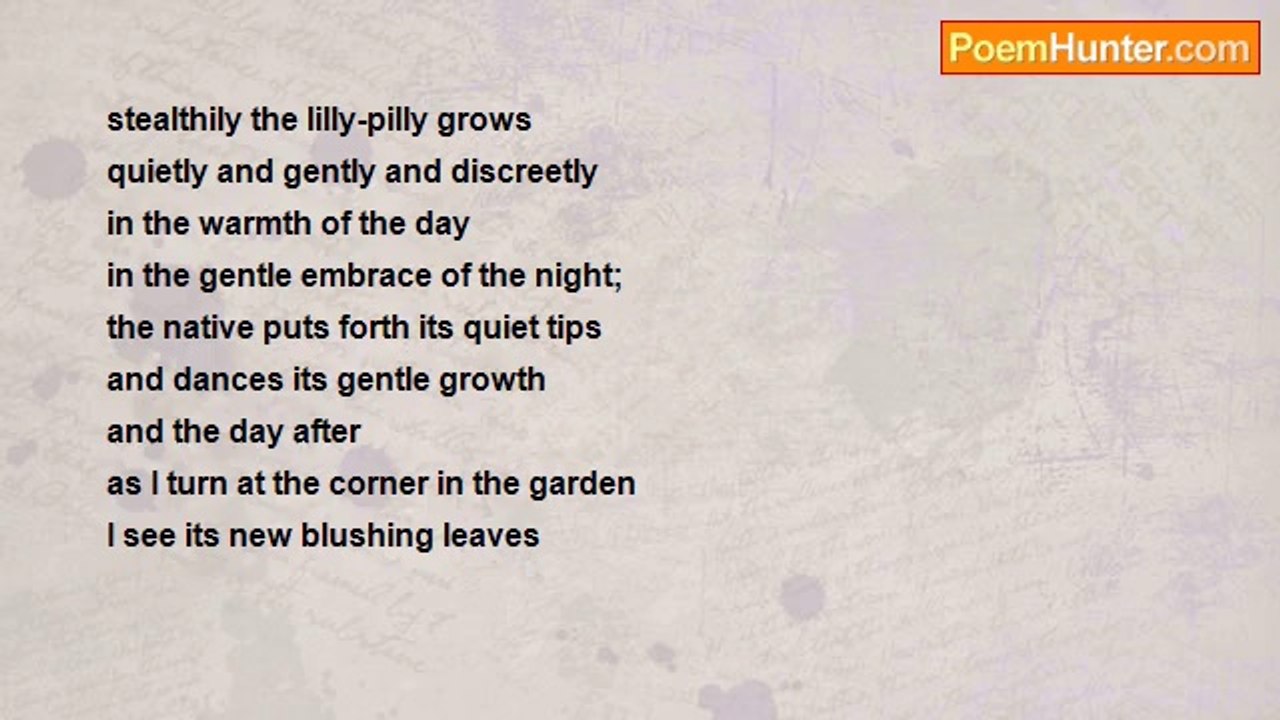 Raj Arumugam - stealthily the lilly-pilly grows