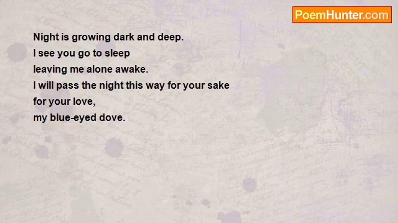 Sayeed Abubakar - My Blue-Eyed Dove