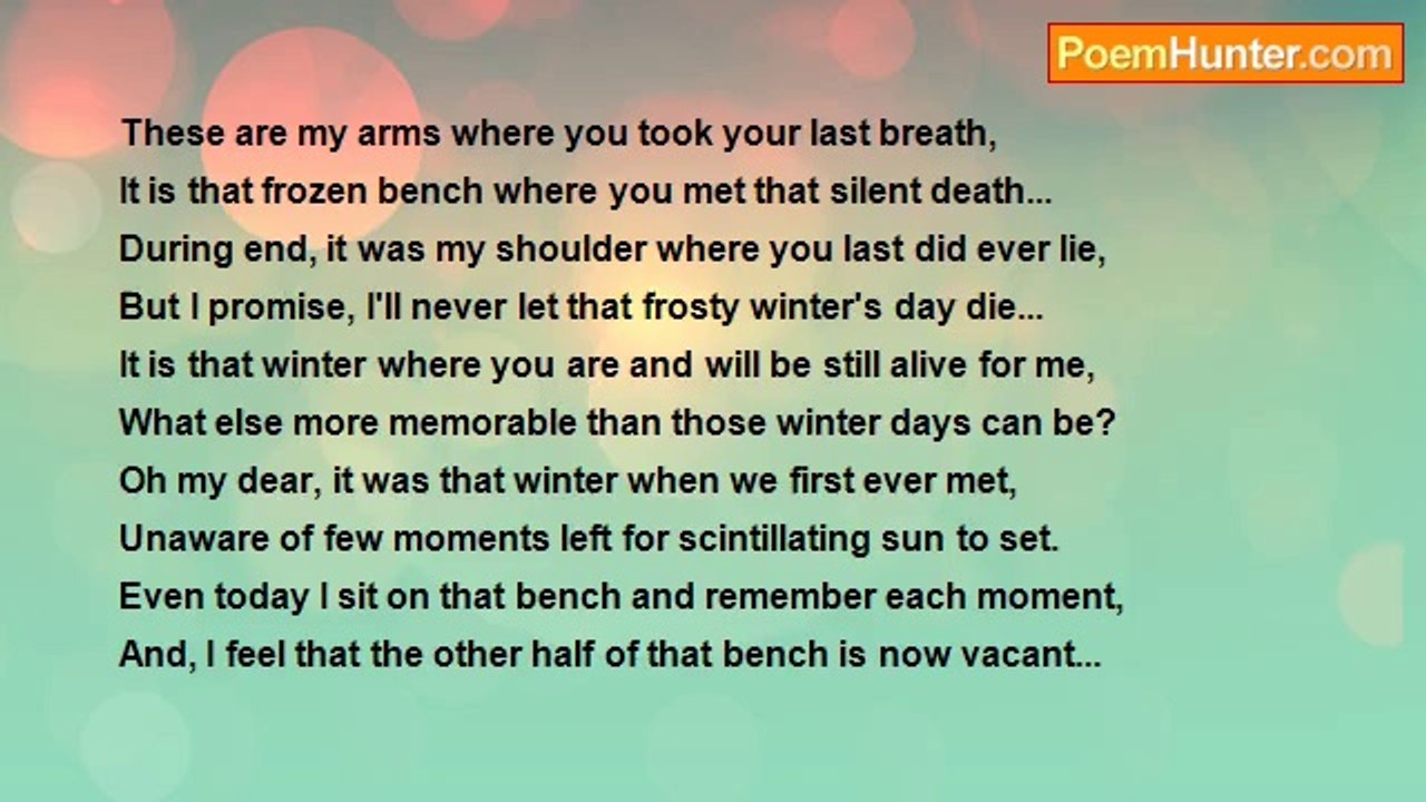 Tawfeeq Hasan Khan - The Frozen Bench