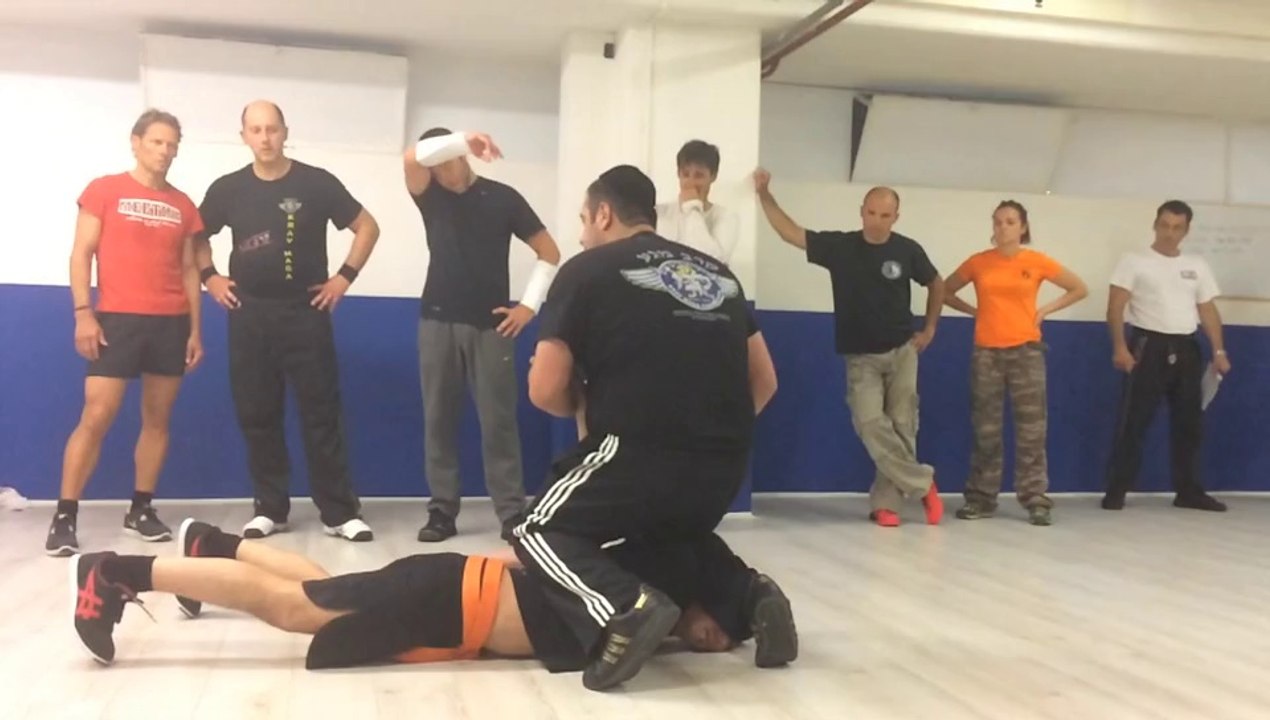 KRAV MAGA COURSE IN SWITZERLAND WITH ALAIN COHEN MAY 2014 www.krav-security.com קרב מגע אלן כהן אשדוד