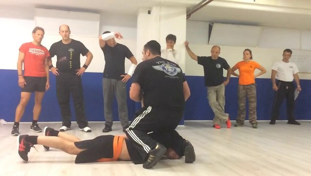 KRAV MAGA COURSE IN SWITZERLAND WITH ALAIN COHEN MAY 2014 krav-security.com קרב מגע אלן כהן אשדוד