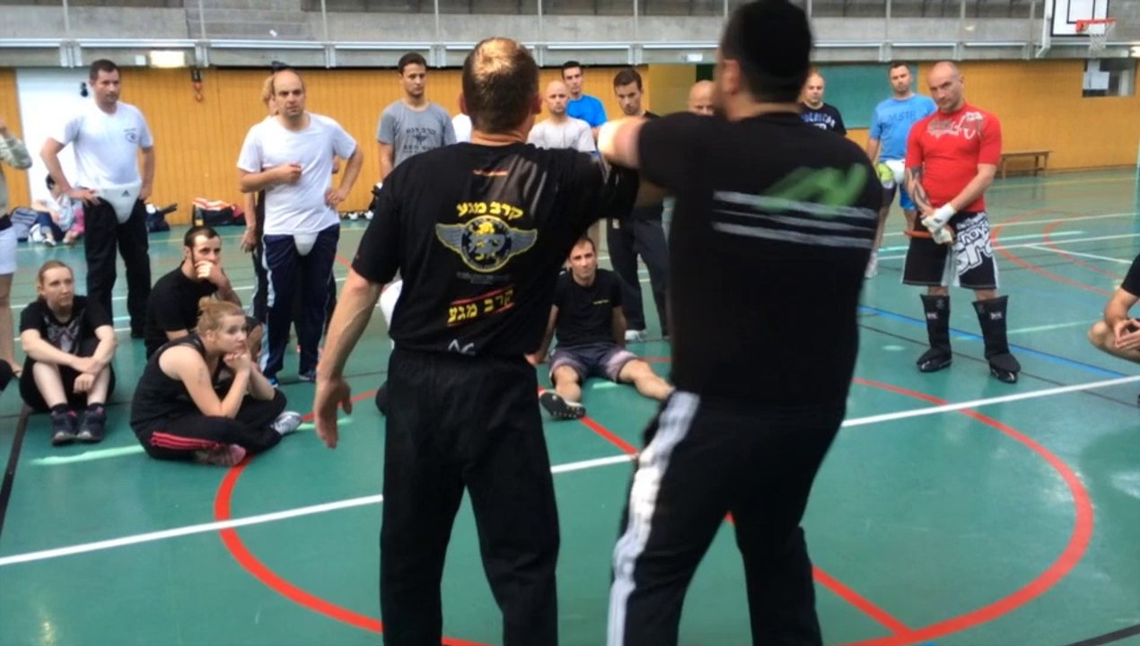 KRAV MAGA COURSE IN FRANCE WITH ALAIN COHEN JUNE 2014 www.krav-security.com קרב מגע אלן כהן אשדוד