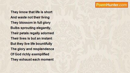 Oyekake Satty Joshua - Flowers