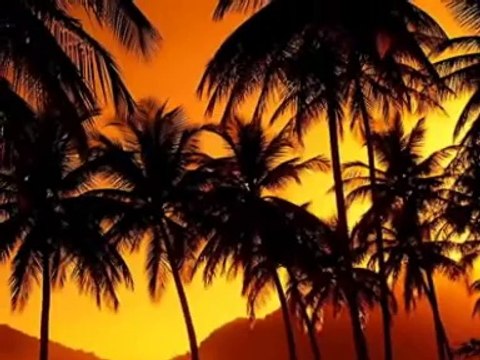 Sunny time Jean-Claude Borelly