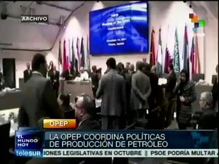 Es OPEP "banco central del mercado de petróleo"