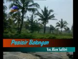 PESISIR BALONGAN rien safitri @ lagu tarling memori